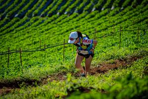 BIB: 
                            <button type="button" onclick="openModal(19161023)" class="btn btn-primary btn-sm float-right btn-popup" data-toggle="modal" data-target=".modal-high-quality">
                        <i class="fas fa-shopping-cart"></i> Add to Cart
                    </button>
                                            <button type="button" onclick="isThisMe(19161023, true)" class="btn btn-success btn-sm float-right btn-popup btn-isme hidden" data-toggle="tooltip" data-placement="bottom" title="นี่คือรูปของคุณใช่ไหม คลิกที่นี่เพื่อเอาเข้าอัลบั้ม">
                        <i class="fas fa-plus"></i> Add to album
                    </button>
                    <button type="button" onclick="isThisMe(19161023, false)" class="btn btn-warning btn-sm float-right btn-popup btn-isnotme hidden">
                        <i class="fas fa-ban"></i> Remove from album
                    </button>